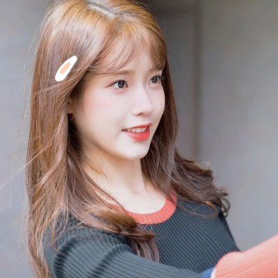 一只狗的大学时光